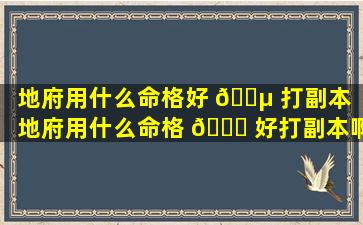 地府用什么命格好 🌵 打副本「地府用什么命格 💐 好打副本啊」
